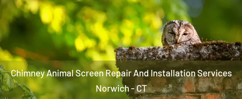  Chimney Animal Screen Repair And Installation Services Norwich - CT